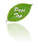 PAGE TOP